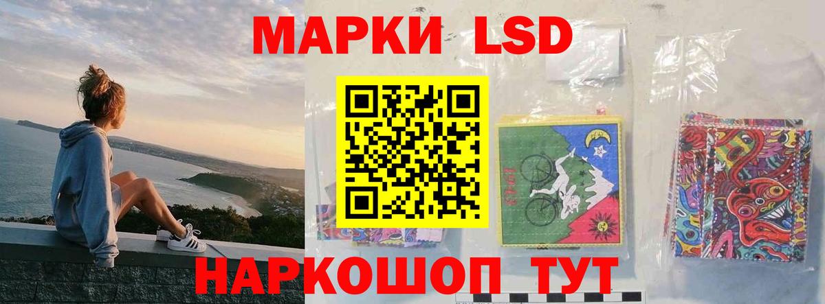 Галлюциногенные грибы Можайск