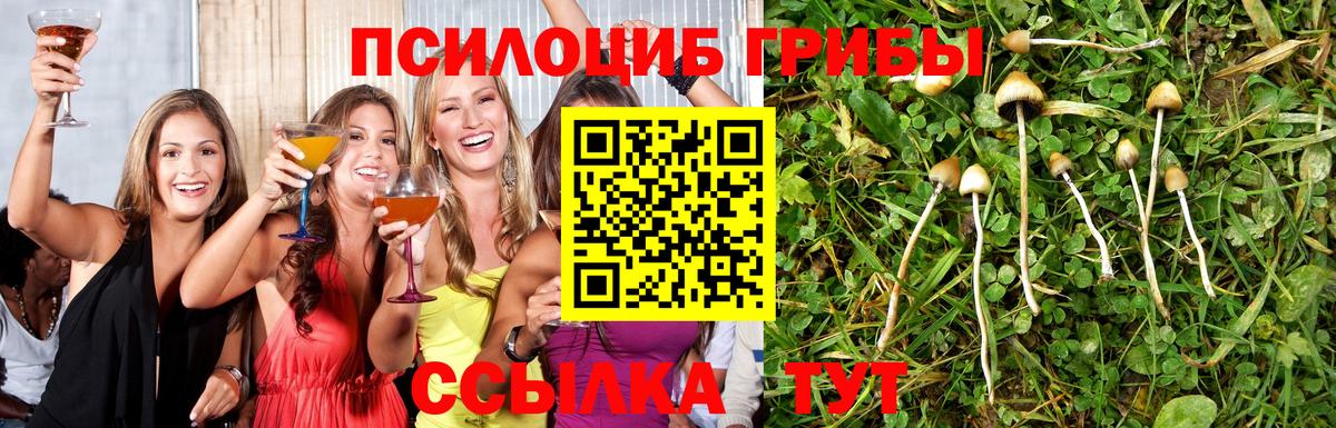 Псилоцибиновые грибы Psilocybine cubensis  Вход с VPN  Можайск 
